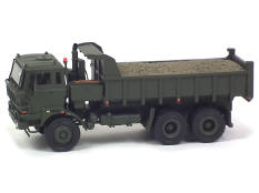 EVERGREEEN (PAYS-BAS) (1)