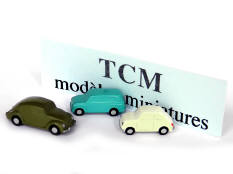 TCM (BELGIQUE) (3)