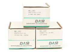 DAM (FRANCE) (3)
