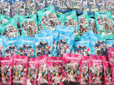 PLAYMOBIL (ALLEMAGNE) (48)