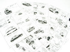 THIERRY DUBOIS (FRANCE) (1)