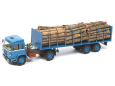 MINITRUCKS (FRANCE) (1)