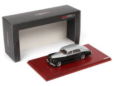 TSM MODELS (1)
