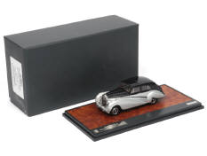 MATRIX SCALE MODELS (PAYS BAS) (1)