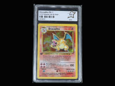 POKEMON COMPANY (USA) (1)