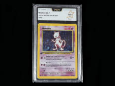 POKEMON COMPANY (USA) (1)