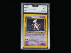 POKEMON COMPANY (USA) (1)