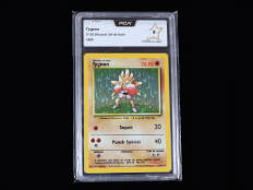 POKEMON COMPANY (USA) (1)