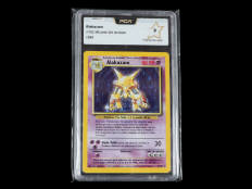 POKEMON COMPANY (USA) (1)
