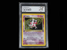 POKEMON COMPANY (USA) (1)