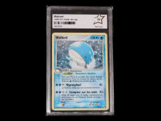 POKEMON COMPANY (USA) (1)