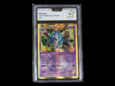 POKEMON COMPANY (USA) (1)