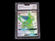 POKEMON COMPANY (USA) (1)