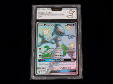 POKEMON COMPANY (USA) (1)