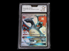 POKEMON COMPANY (USA) (1)