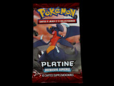 POKEMON COMPANY (USA) (1)