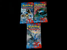 POKEMON COMPANY (USA) (3)