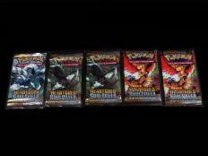 POKEMON COMPANY (USA) (5)