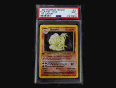 POKEMON COMPANY (FRANCE) (1)