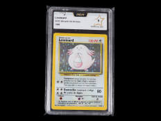 POKEMON COMPANY (FRANCE) (1)