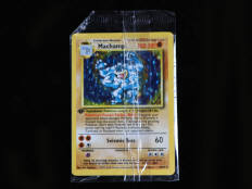 POKEMON COMPANY (USA) (1)