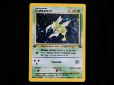 POKEMON COMPANY (FRANCE) (1)