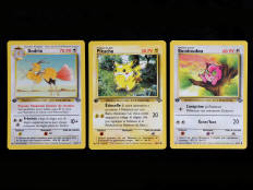 POKEMON COMPANY (FRANCE) (3)