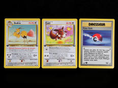 POKEMON COMPANY (FRANCE) (3)