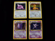 POKEMON COMPANY (FRANCE) (53)