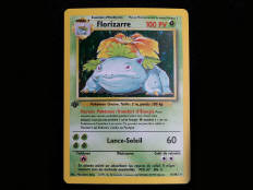 POKEMON COMPANY (FRANCE) (1)