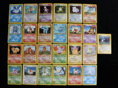 POKEMON COMPANY (FRANCE) (25)