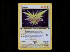 POKEMON COMPANY (USA) (1)