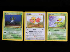 POKEMON COMPANY (FRANCE) (3)