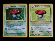 POKEMON COMPANY (2)