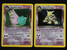 POKEMON COMPANY (FRANCE) (2)