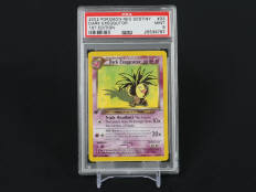 POKEMON COMPANY (USA) (1)