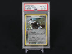 POKEMON COMPANY (USA) (1)
