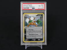 POKEMON COMPANY (USA) (1)