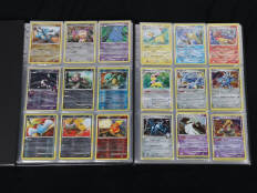 POKEMON COMPANY (FRANCE) (1)