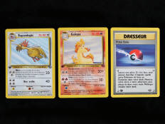 POKEMON COMPANY (FRANCE) (3)