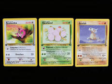 POKEMON COMPANY (FRANCE) (3)