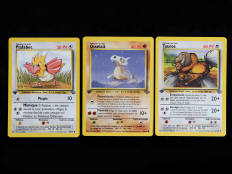 POKEMON COMPANY (FRANCE) (3)