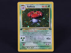 POKEMON COMPANY (FRANCE) (1)