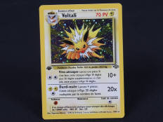 POKEMON COMPANY (FRANCE) (1)