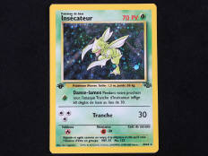 POKEMON COMPANY (FRANCE) (1)