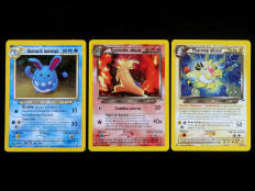 POKEMON COMPANY (FRANCE) (3)