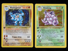 POKEMON COMPANY (FRANCE) (2)