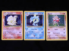 POKEMON COMPANY (FRANCE) (3)