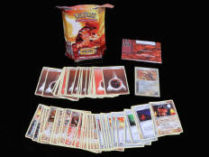 POKEMON COMPANY (FRANCE) (1)