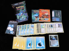 POKEMON COMPANY (FRANCE) (1)